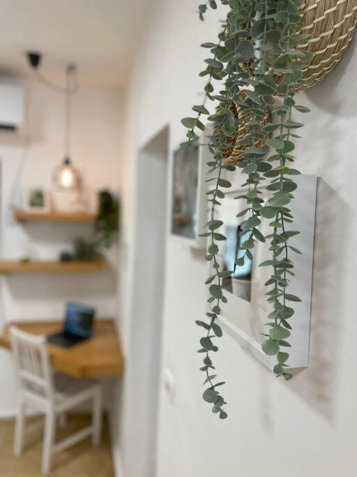 Tko'A #2 Appartement Jeruzalem Buitenkant foto